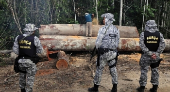 Governo autoriza Forças Armadas a combater desmatamento em Mato Grosso